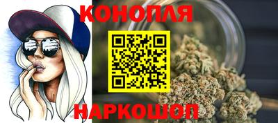 гашик Шахты