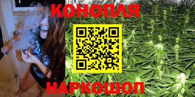 бошки Шелехов