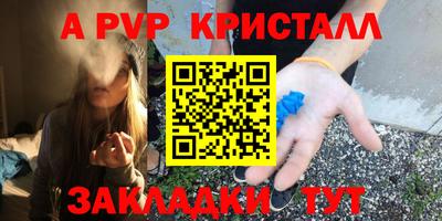 бошки Шелехов
