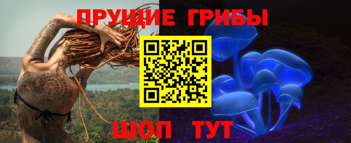 Галлюциногенные грибы Cubensis  Вход с VPN  Камышин 